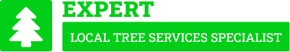 Havelock North Tree Removal - Tree Removal Havelock North